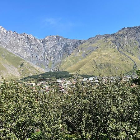 Guest House Demma Kazbegi Exterior foto